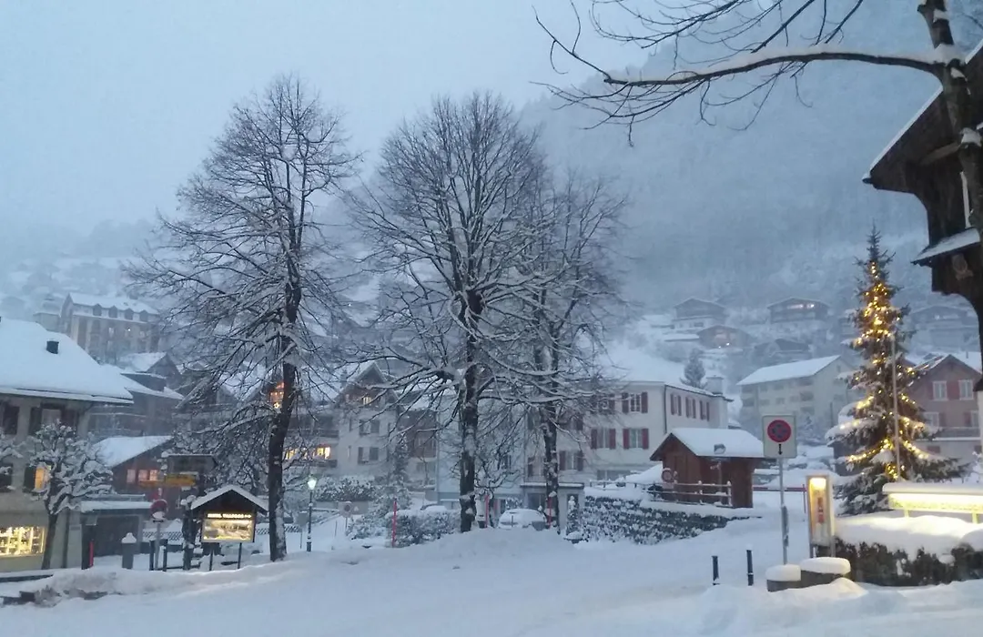 Hotel Hoheneck-1