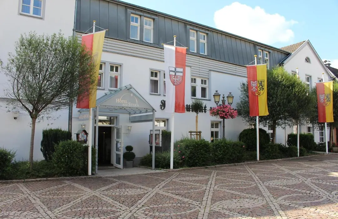 Hotel Zum Stern-1