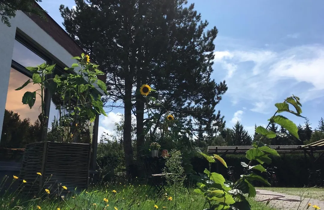 Hotel-Pension Seeadler-1