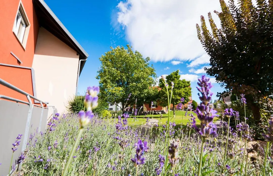 Hotel Löwen Garni - B&B-1