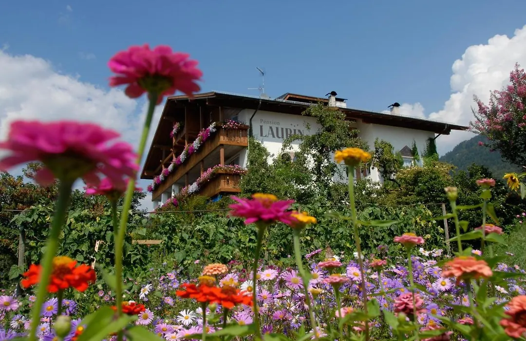 Pension Laurin-1