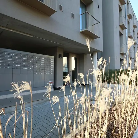 Campus Apartments-2