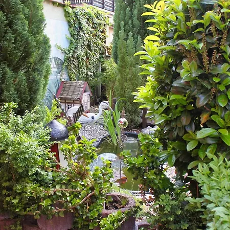 Pension Luisenhof-3