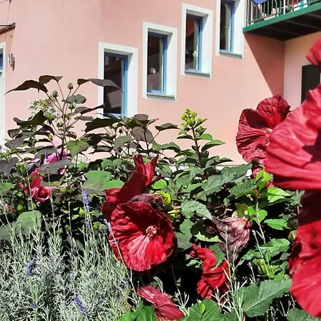 Hotel Garni Landhaus Florian-3