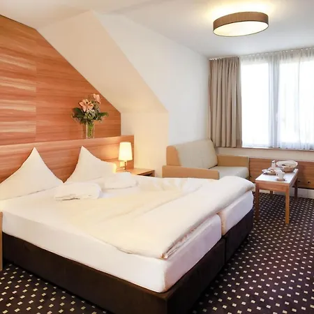 Hotel Bon Alpina-3
