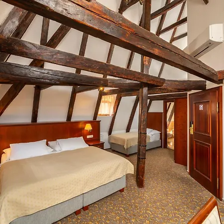 Hotel Cerny Slon-2