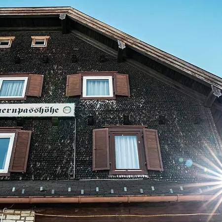 Hotel Tauernpasshöhe-2