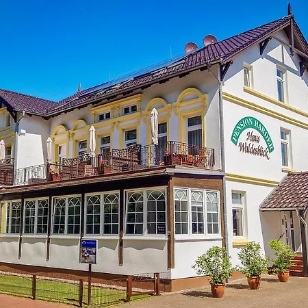 Pension Haus Waldesblick-2