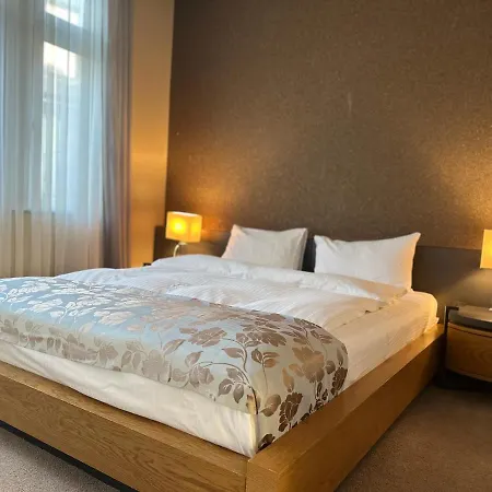 Plaza Hotel Winterthur-3