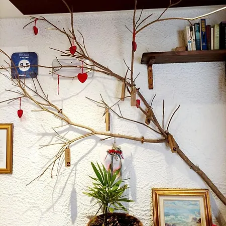 Casa Lady-2