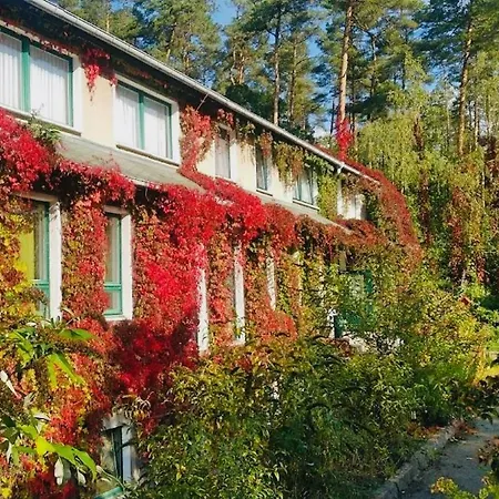 Pension Zur Fledermaus-2