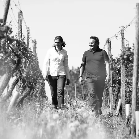 Weingut Matthias Dostert / Culinarium-2