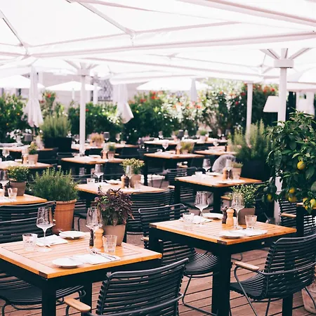 artHotel Blaue Gans-2