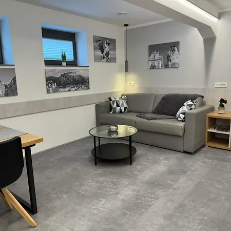 Vila Emona - Central Apartments - Free Parking-3