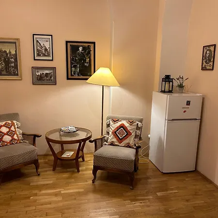 Pension Karlova-3