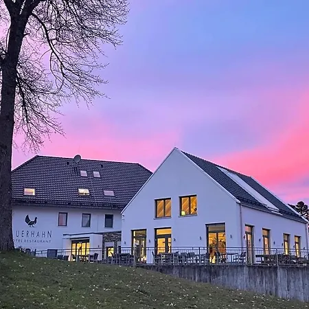 Hotel Restaurant Auerhahn-3