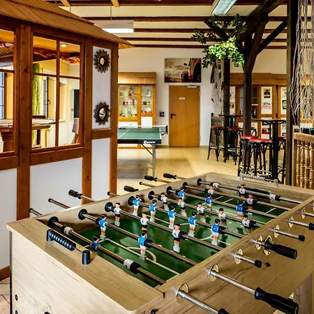 Hotel Seiffener Hof***-3