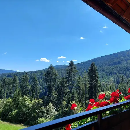 Landhaus Waldeshöhe-2