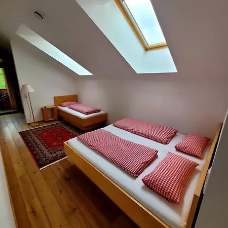 Hotel Alpenrose Ebnit-3