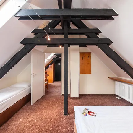 Hotel Ahl Meerkatzen-3