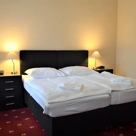 Hotel Palacky-2