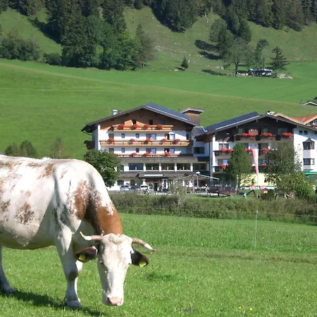 Hotel Wildauerhof-3