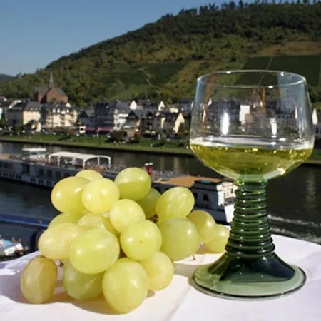 Hotel Karl Noss-2