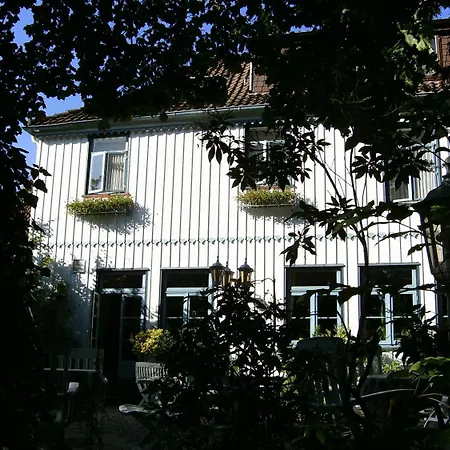 Leisewitz' Garten-3
