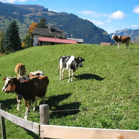 Alpenhof-2