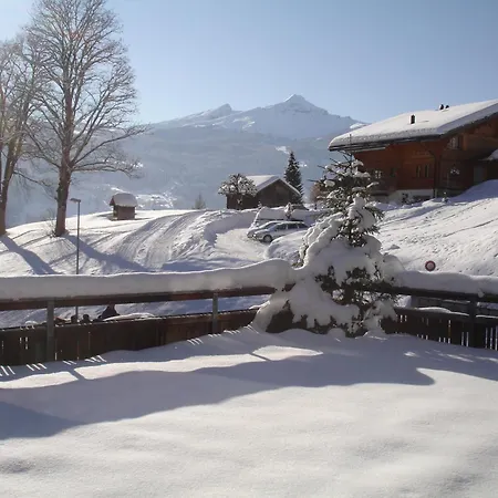 Hotel Alpenblick-2