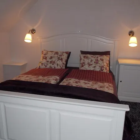 Guesthouse Stari Tisler-2