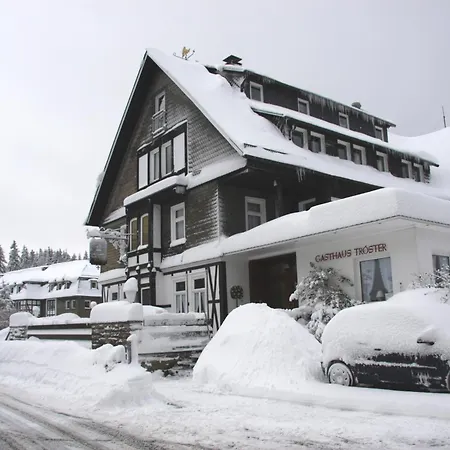 Hotel Gasthaus Tröster-3