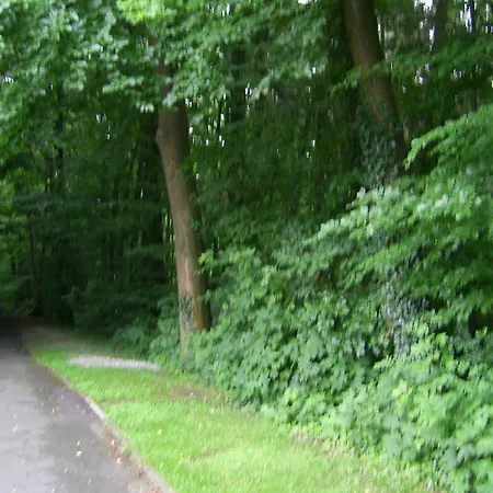Waldpension Bielefeld-2