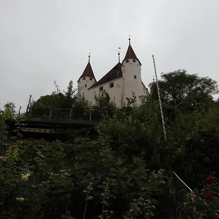 Hotel Restaurant Schwert Thun-2