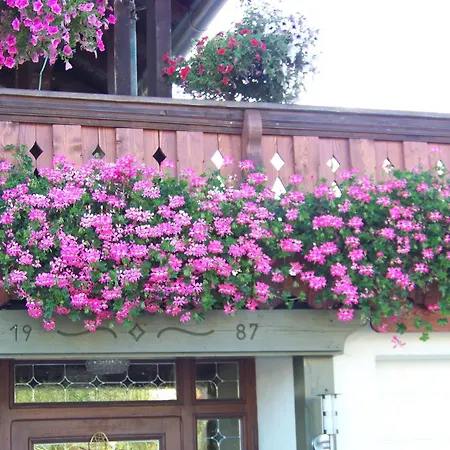 Pension Erna-3