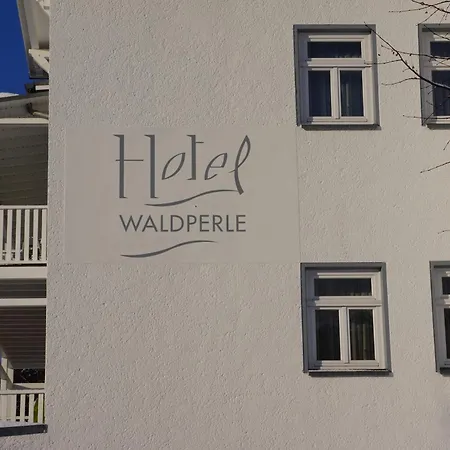 Hotel Waldperle-3