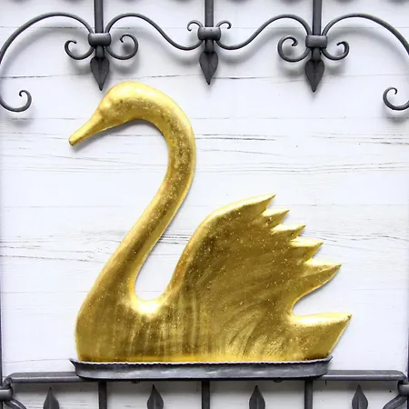 Hotel-Garni Goldener Schwan-3