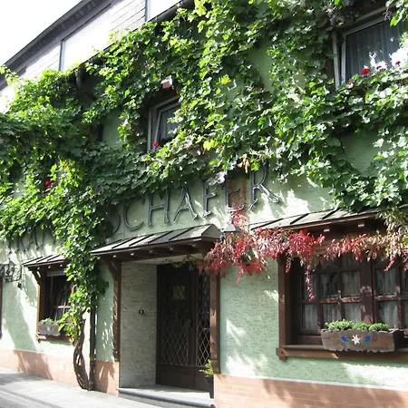 Weingut Franz Schäfer-2