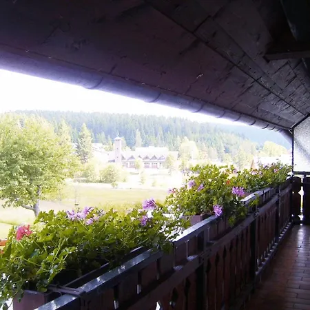 Pension Wiesengrund-2