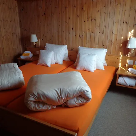Gasthof Surselva-3