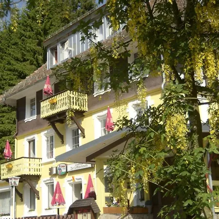 Gasthaus Hotel Löffelschmiede-2