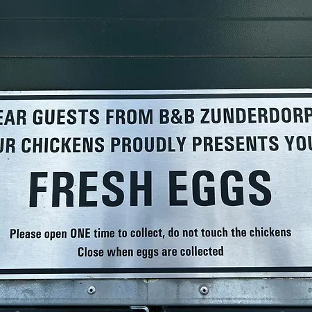 B&B Zunderdorp-2