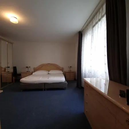 Spalenbrunnen Hotel&Restaurant Basel City Center-2