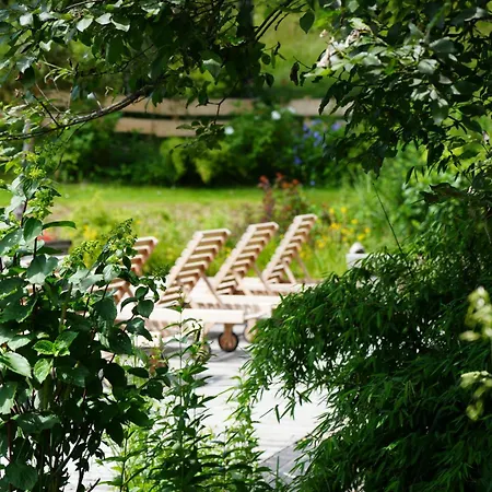 Boutique Hotel Herzhof - Garni-Appartements - Adults Only-2