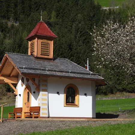 Hotel Almhof-2