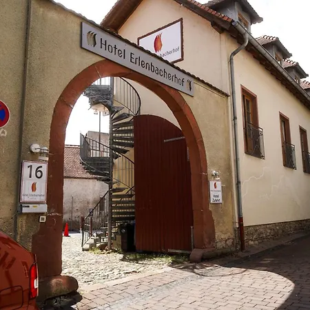 Hotel Erlenbacher Hof-2