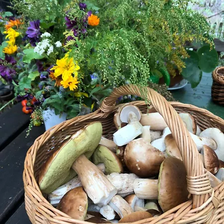 Scheunenherberge Schäfchenzählerei-3