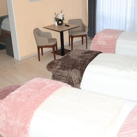 Hotel Hafez-3