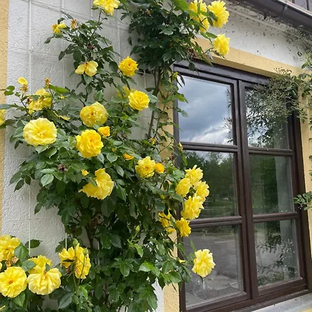 Gästehaus Altes Fährhaus-2