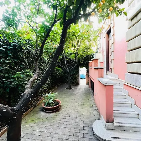 Orange Garden Guest House-2